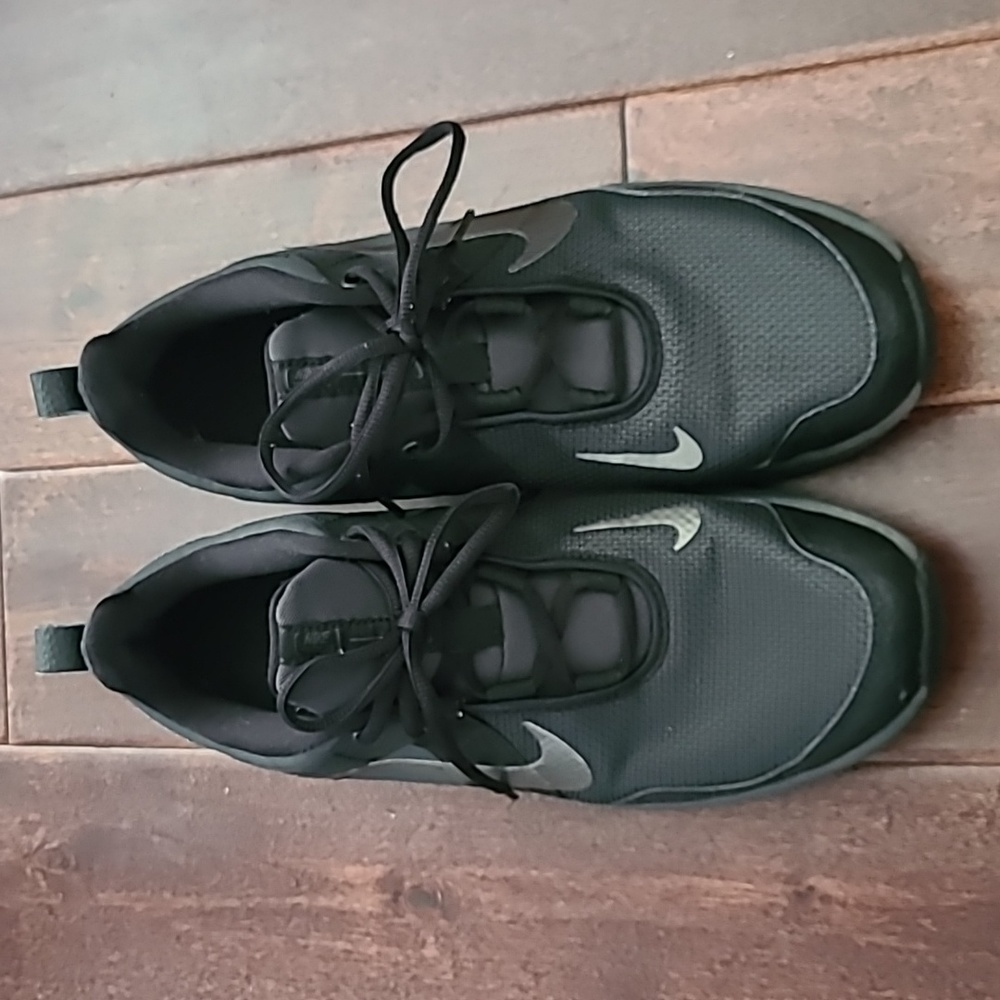 Nike Air Max Alpha Trainer 2